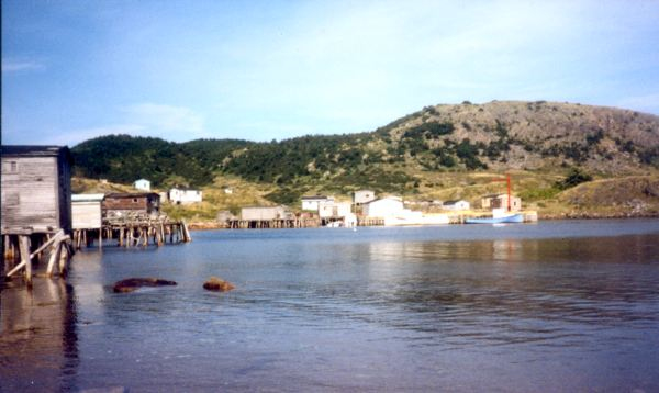 616: Red Island. Looking across the harbor toward the government wharf. (1994) [courtesy of Pius Mulrooney]